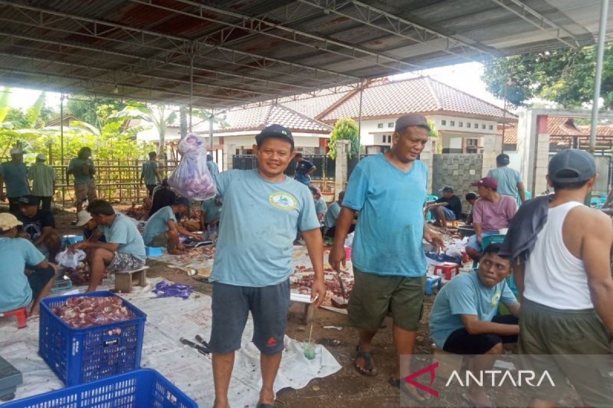 Hewan-kurban-dari-ANTARA_2