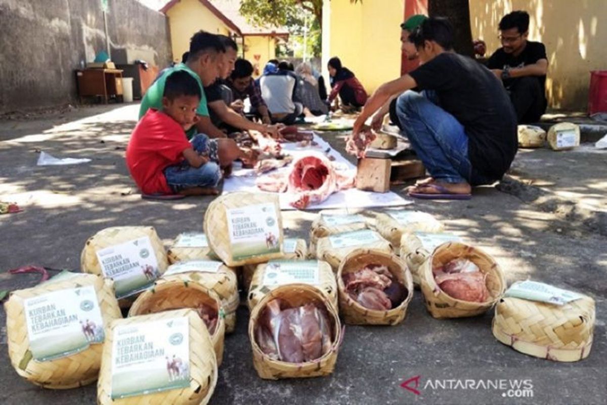 Palangka-Raya-hewan-kurban-plastik