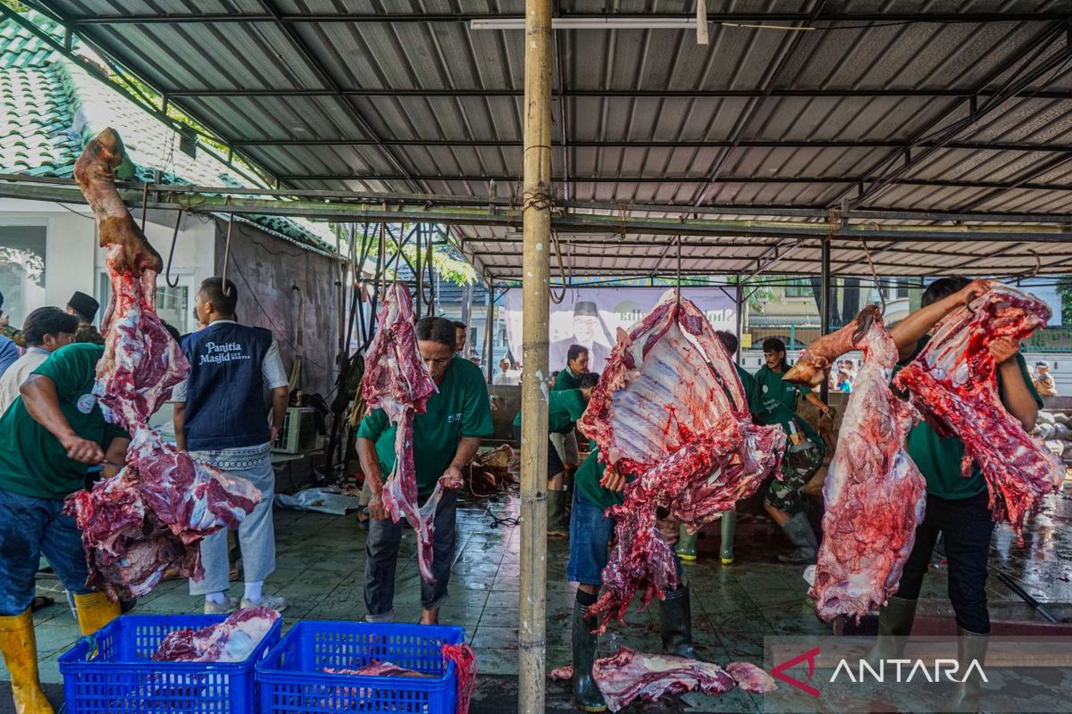 pemotongan-hewan-kurban-di-masjid-cut-meutia-jakarta-2795171