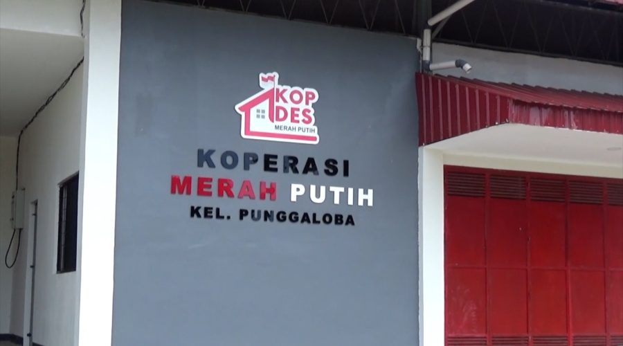 AB_75-GERAI-KOPERASI-MERAH-PUTIH-DI-SULAWESI-TENGGARA-TELAH-BEROPERASI